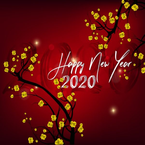 nhung-hinh-anh-tet-chuc-mung-nam-moi-2020-dep-nhat-35express-6