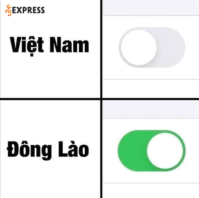 viet-nam-cam-thay-nhu-the-nao-khi-duoc-goi-la-dong-lao-35express