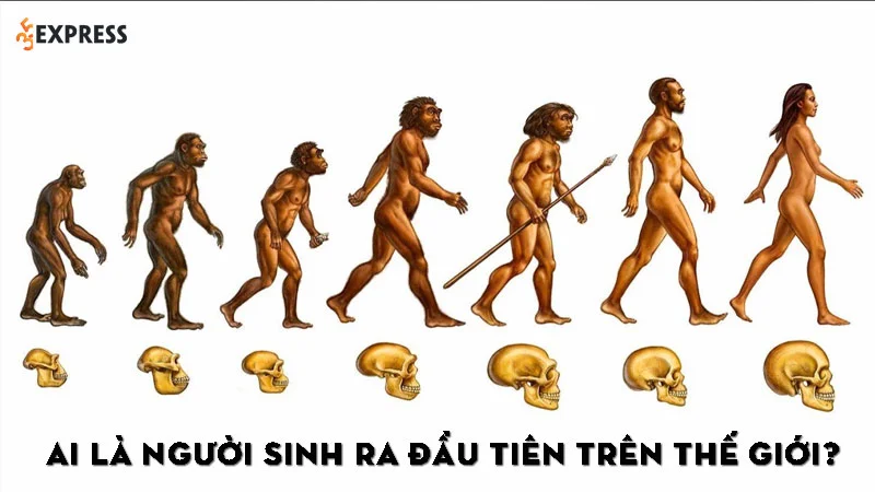 ai-la-nguoi-sinh-ra-dau-tien-tren-the-gioi-1-35express