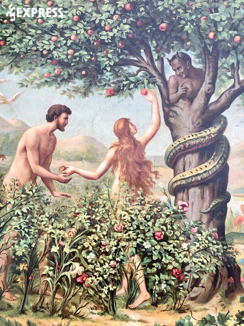 ai-la-nguoi-sinh-ra-dau-tien-tren-the-gioi-35express