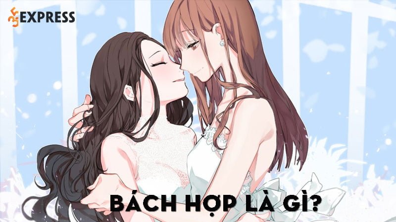 bach-hop-la-gi-35express