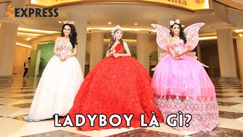 Ladyboy là gì? Tìm hiểu chi tiết về Ladyboy