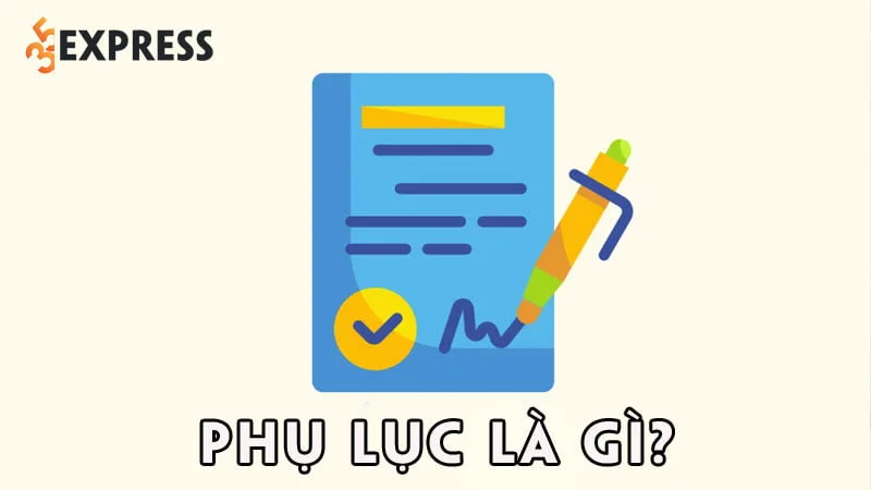 phu-luc-la-gi-35express