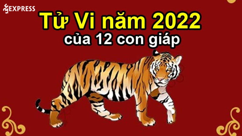 tu-vi-12-con-giap-nam-2022
