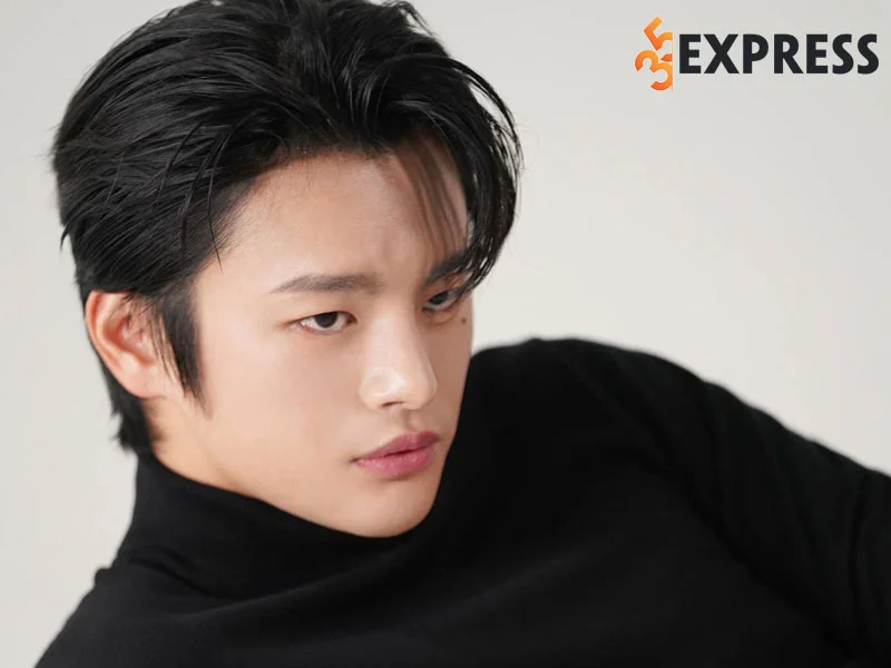 Tổng hợp các tập phim có sự tham gia của Seo In-guk