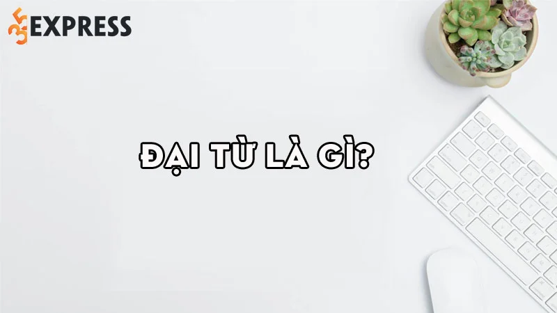 dai-tu-la-gi-35express