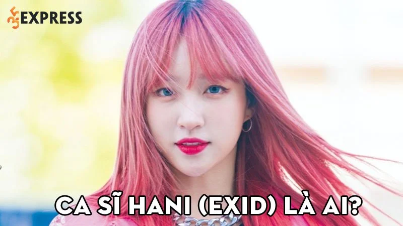 ca-si-hani-exid-la-ai-35express