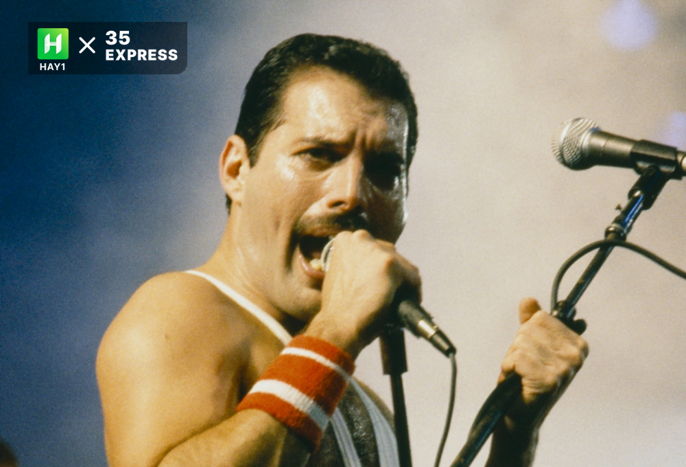 Freddie Mercury là ai Đồ đạc được trưng bày và bán đấu giá