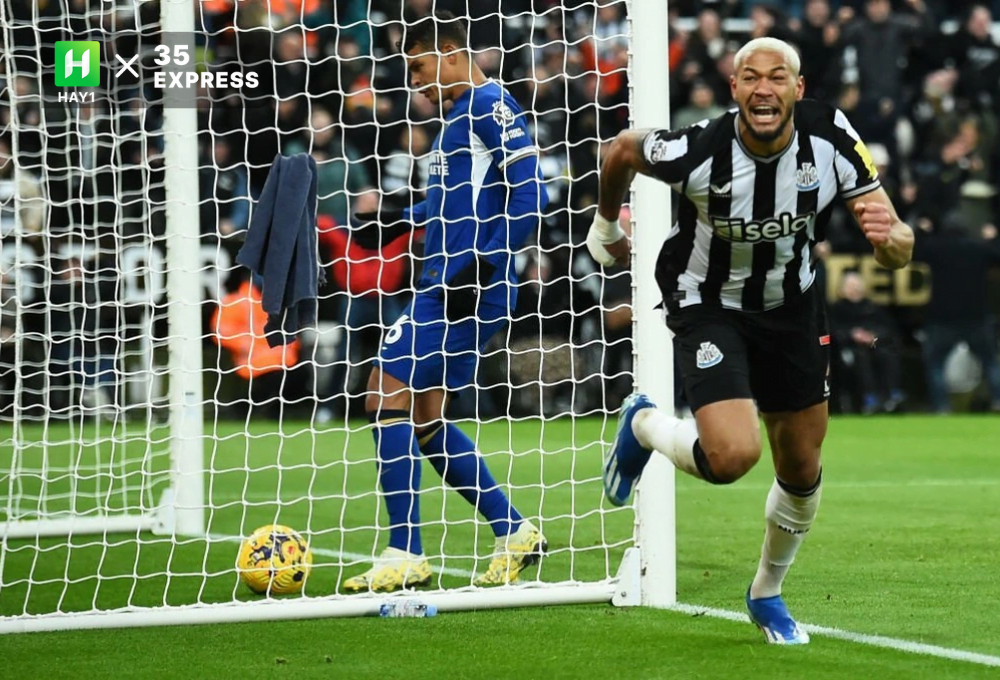 Joelinton ăn mừng sau khi làm tung lưới Chelsea
