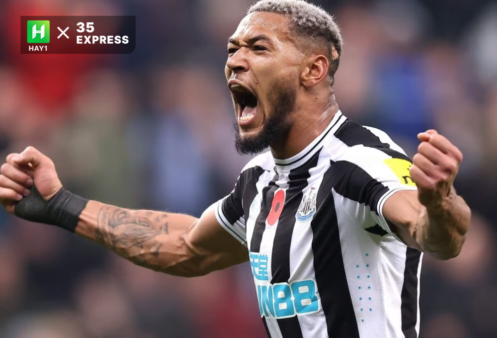 Joelinton là ai Thần tượng mới ở Newcastle