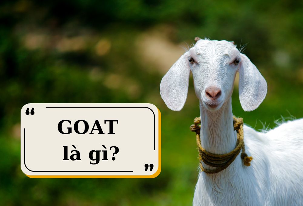 GOAT là gì?