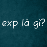 Exp là gì? Ý nghĩa của Exp trong các lĩnh vực