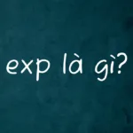 Exp là gì? Ý nghĩa của Exp trong các lĩnh vực