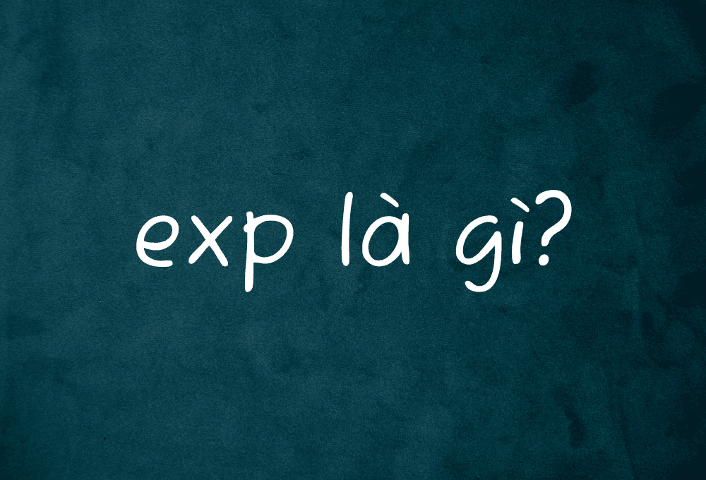 Exp là gì? Ý nghĩa của Exp trong các lĩnh vực