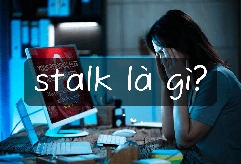 Stalk là gì? Vì sao từ Stalk phổ biến trên mạng xã hội