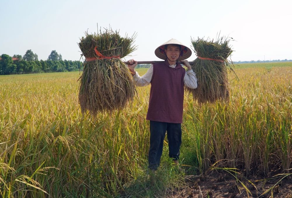 lộc nông thôn là ai