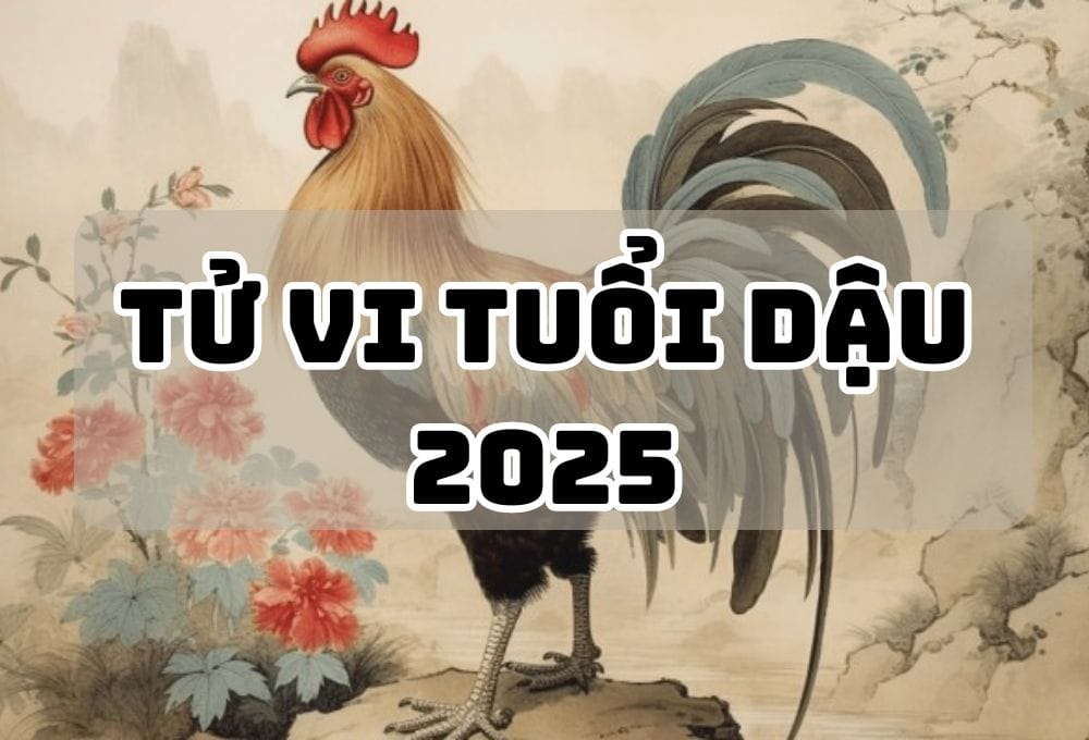 Tử vi tuổi Dậu năm Ất Tỵ 2025: Tài lộc khởi sắc - Sự nghiệp phát triển