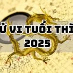 Tử vi tuổi Thìn năm Ất Tỵ 2025