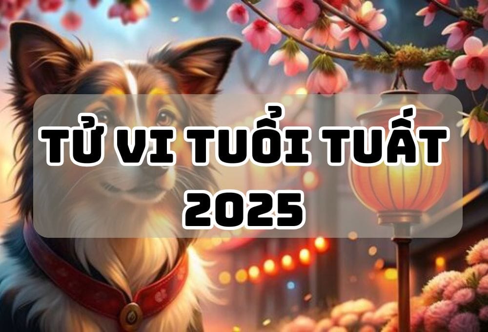 Tử vi tuổi Tuất năm Ất Tỵ 2025: Vận đào hoa rực rỡ, sự nghiệp sang trang