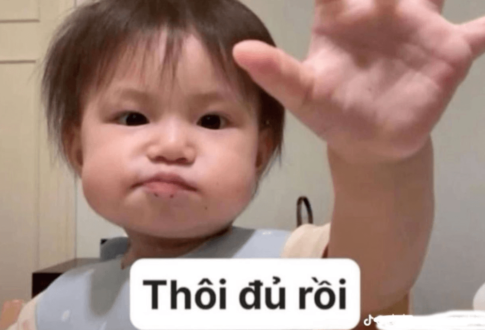 meme được yêu thích 