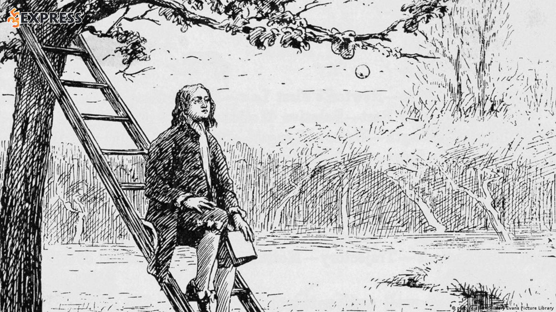 Khi Newton công bố các định luật của mình, ông đã mang lại một trật tự cho vũ trụ