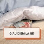 Giấu diếm là gì? Giấu diếm với dấu diếm từ nào đúng chính tả tiếng Việt?