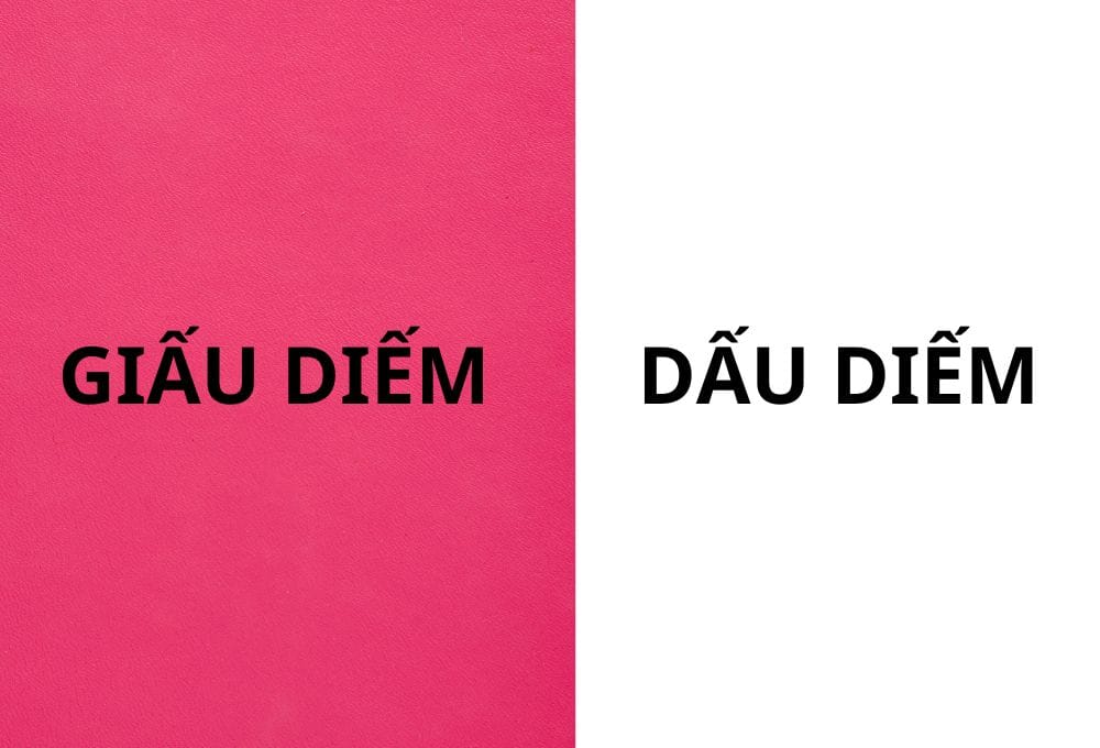 Giấu diếm với dấu diếm từ nào đúng chính tả tiếng Việt?