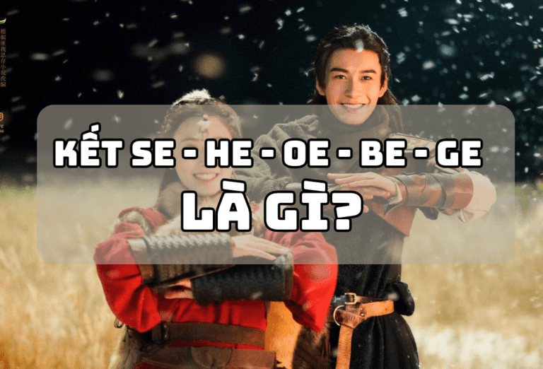 Kết SE là gì? Giải thích về tất cả các loại kết SE, BE, HE, OE, GE ...