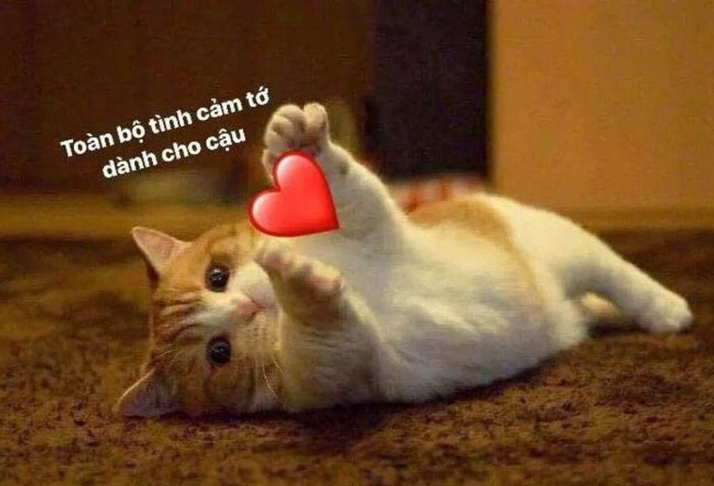 meme ôm dễ thương
