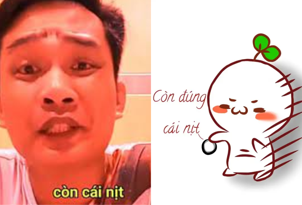 Meme còn cái nịt là gì?