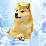 Meme chó là gì? Tổng hợp các meme chó hài hước, thú vị nhất