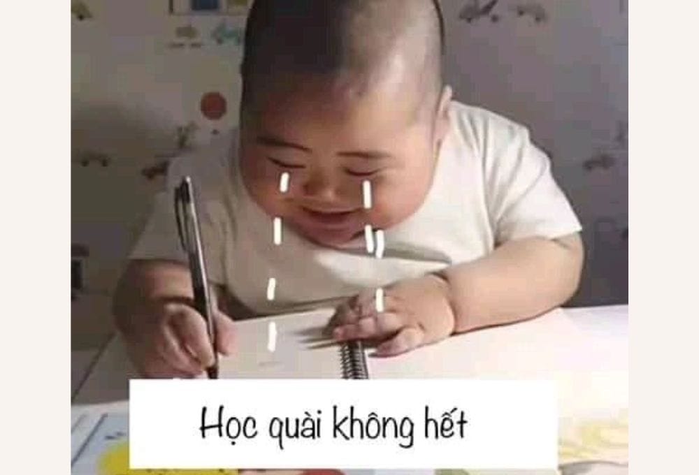 Tổng hợp các meme học bài thú vị, hài hước được cư dân mạng ưa chuộng
