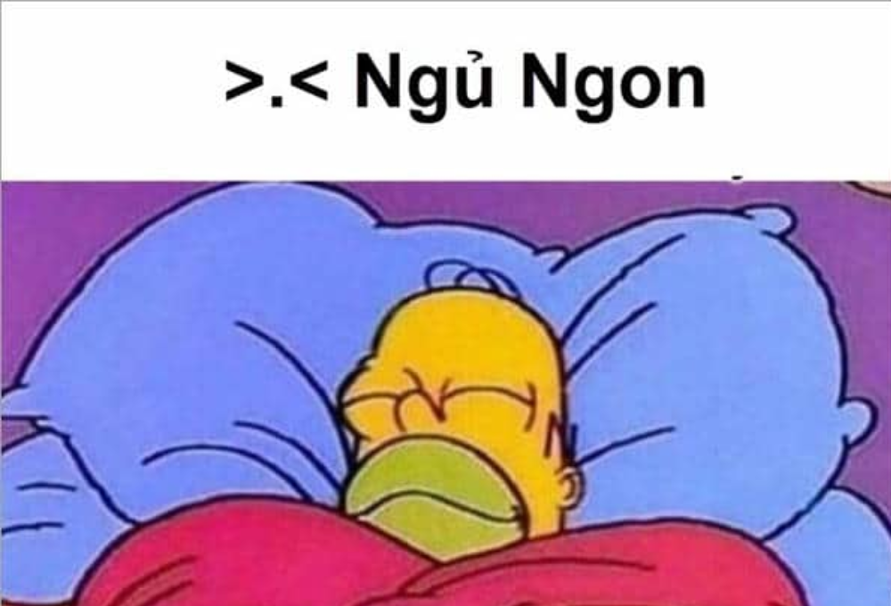 Tổng hợp các meme ngủ ngon