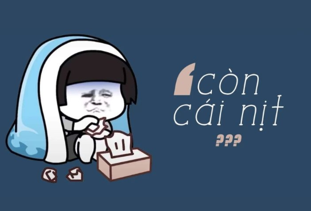 Tổng hợp meme còn cái nịt