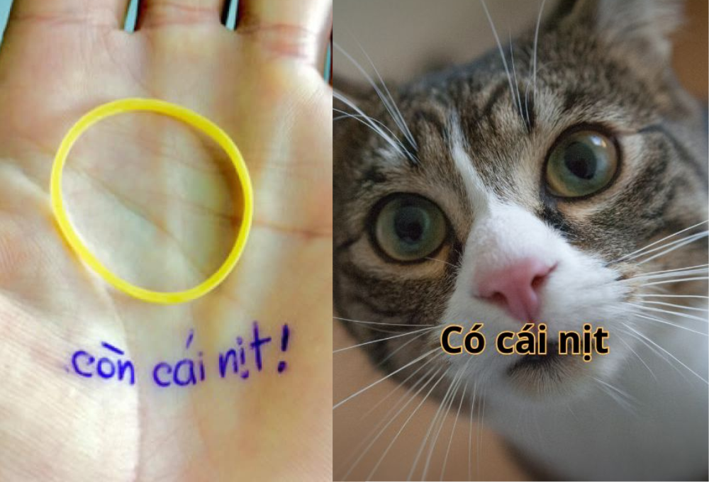 Tổng hợp meme còn cái nịt