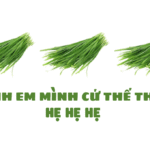 Anh em mình cứ thế thôi hẹ hẹ hẹ là gì mà gây sốt mạng xã hội