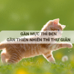 Trend “Gần mực thì đen gần thiên nhiên thì thư giãn” là gì? Giải thích nguồn gốc, ý nghĩa