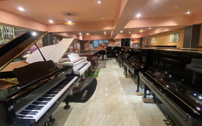 Hình ảnh showroom của Việt Nhạc Music Center
