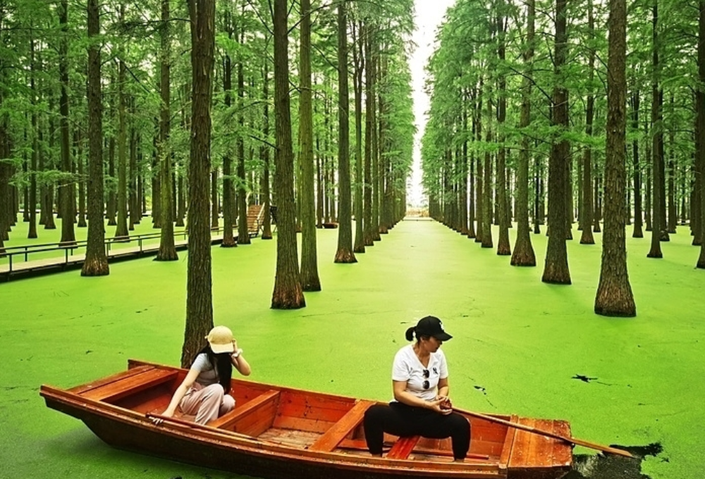 Bạn có biết: Yang Lake (Dương Hồ) là một điểm đến du lịch nổi tiếng?