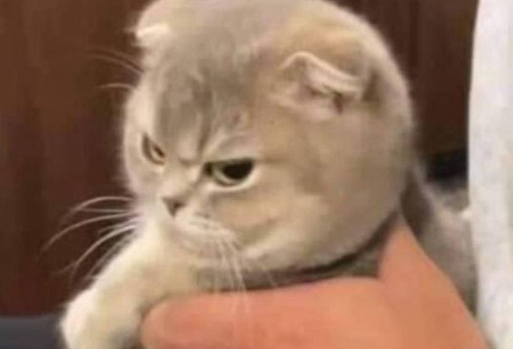 "Còn nhiều cái chưa muốn nói đâu" là gì?