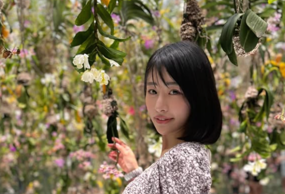 Đôi nét về đời tư và sự nghiệp của Mei Miyajima