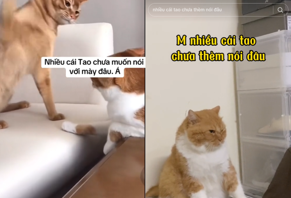 Mức độ phổ biến của "Còn nhiều cái chưa muốn nói đâu" trên mạng xã hội