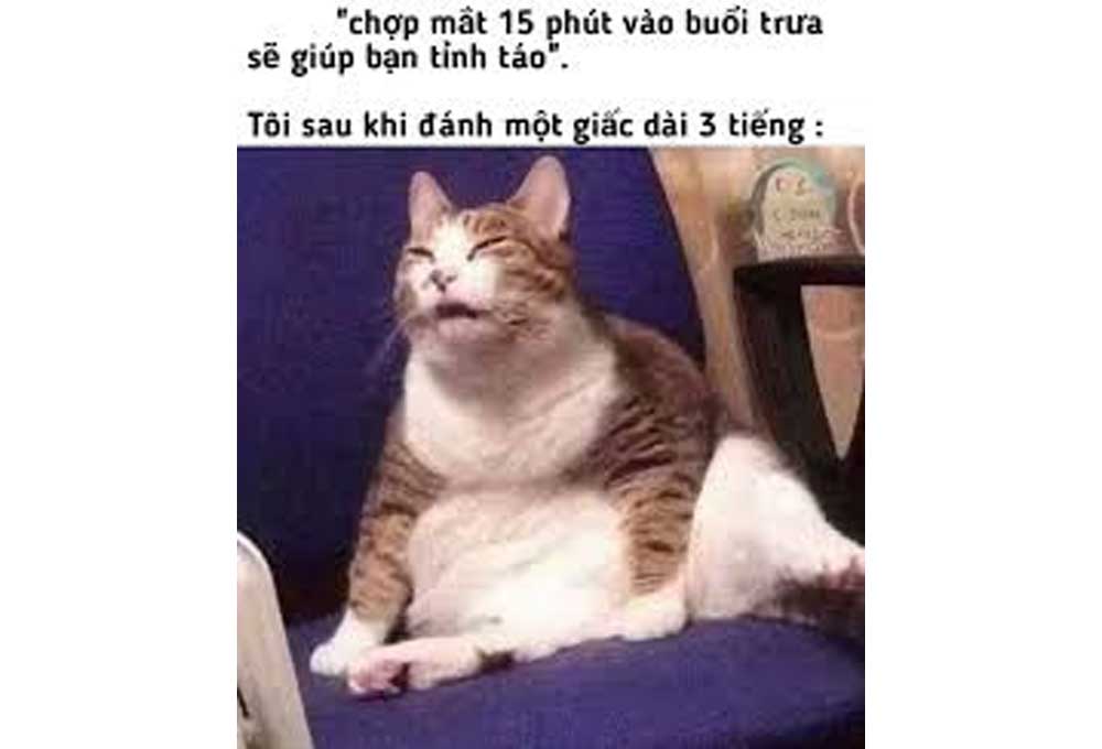 Nguồn gốc của từ “ngáo”
