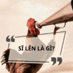 Sĩ lên là gì? Ý nghĩa, nguồn gốc và cách dùng từ lóng Gen Z