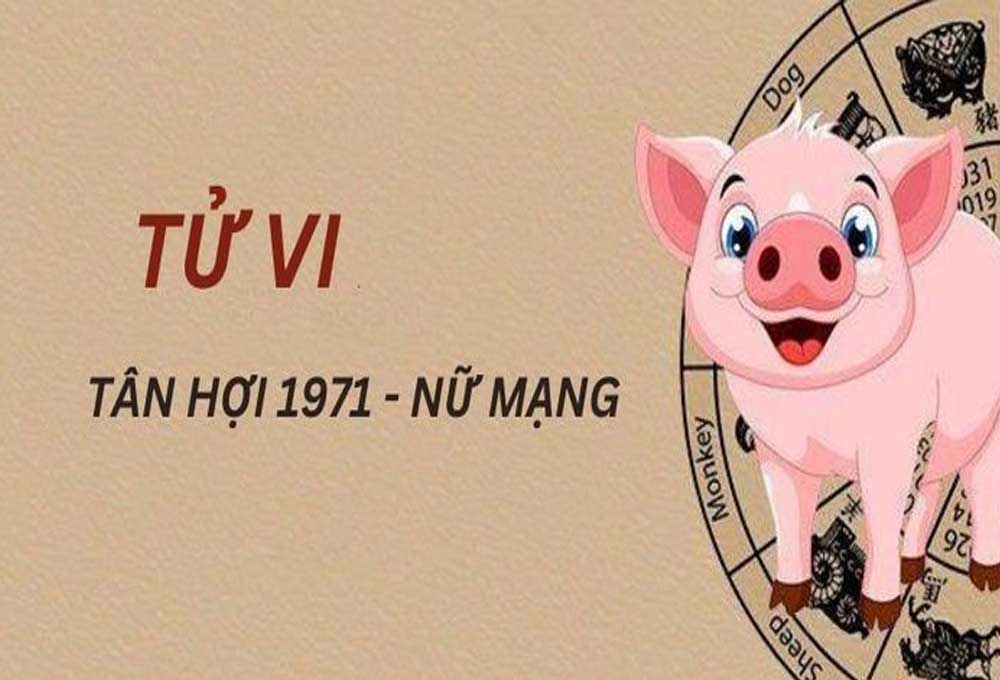 Tổng quan cuộc đời của nữ mệnh tuổi Tân Hợi 