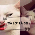 Xà lơ là gì? Giải thích ý nghĩa và nguồn gốc của xà lơ chi tiết