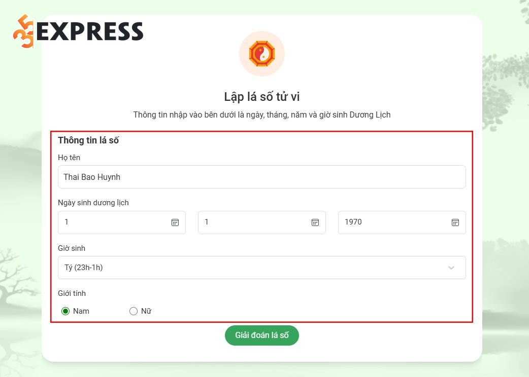 Bước 2: Khai báo thông tin cá nhân như tên, tuổi, ngày sinh, giờ sinh, giới tính