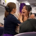 Hành khách nữ gào khóc, kéo áo tiếp viên trên chuyến bay UO559, bị mời rời khỏi máy bay