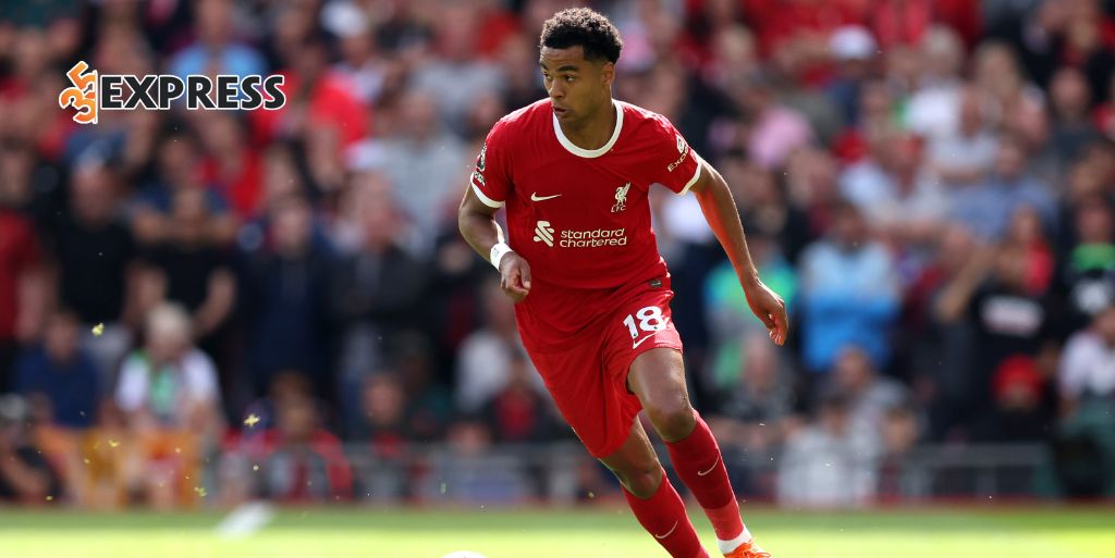 Bước ngoặt chuyển đến Liverpool tại Premier League của Cody Gakpo