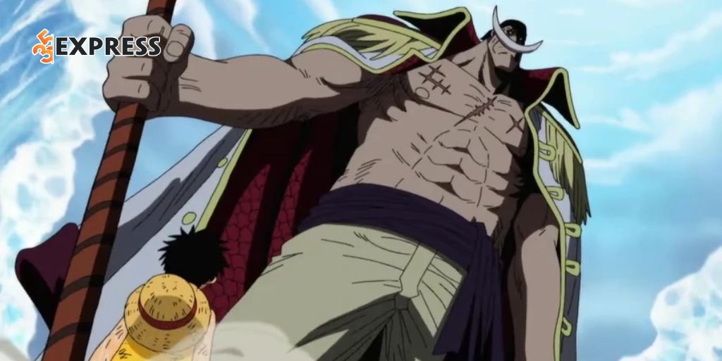 Cuộc giải cứu Portgas D. Ace khỏi pháp trường